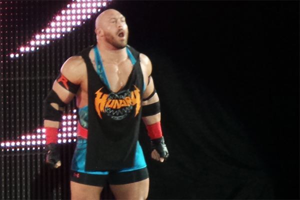 Rybacksinglet