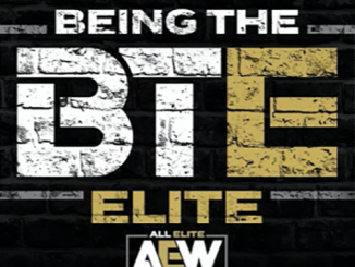 Being The Elite reportedly on hiatus