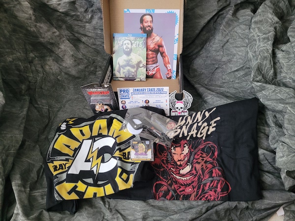Jay Lethal Micro Brawlers Pro Wrestling Crate Exclusive Figure, AEW, NJPW