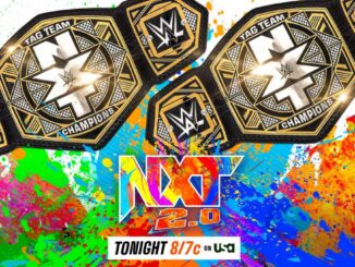 New Tag Team Champions crowned on this week's episode of NXT