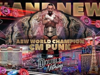 CM Punk wins the AEW World Championship