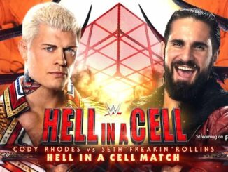 Hell in a Cell discussion and analysis