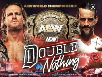 Fan reaction and grades for Double Or Nothing