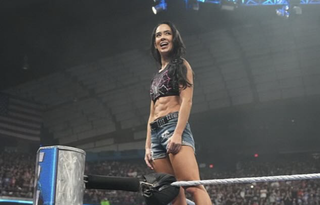 AJ Lee expresses gratitude to her fans in her first public